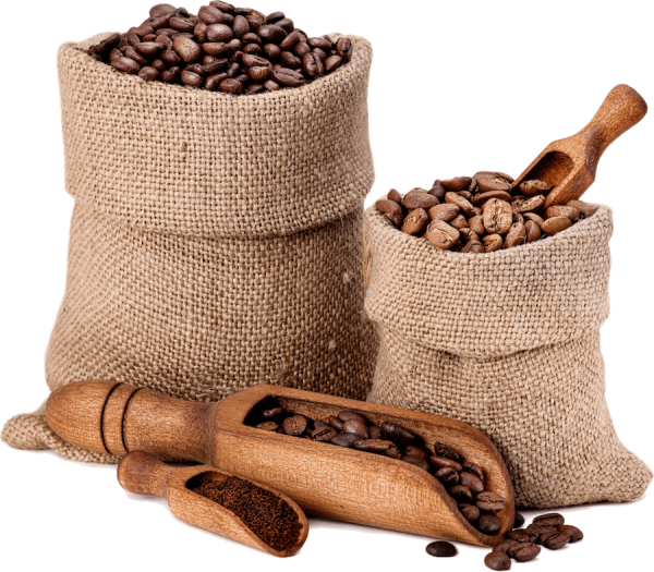 varieties-of-coffee-beans-P8XB6TB-1.png